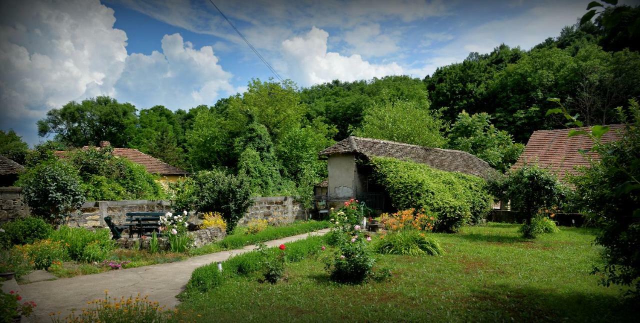 Country House Dunjin Konak Rogljevo Exterior foto